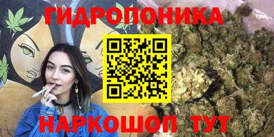 apvp Коммунар