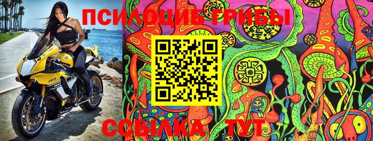 Алапаевск  Галлюциногенные грибы Magic Shrooms  купить закладку  Вход с VPN 